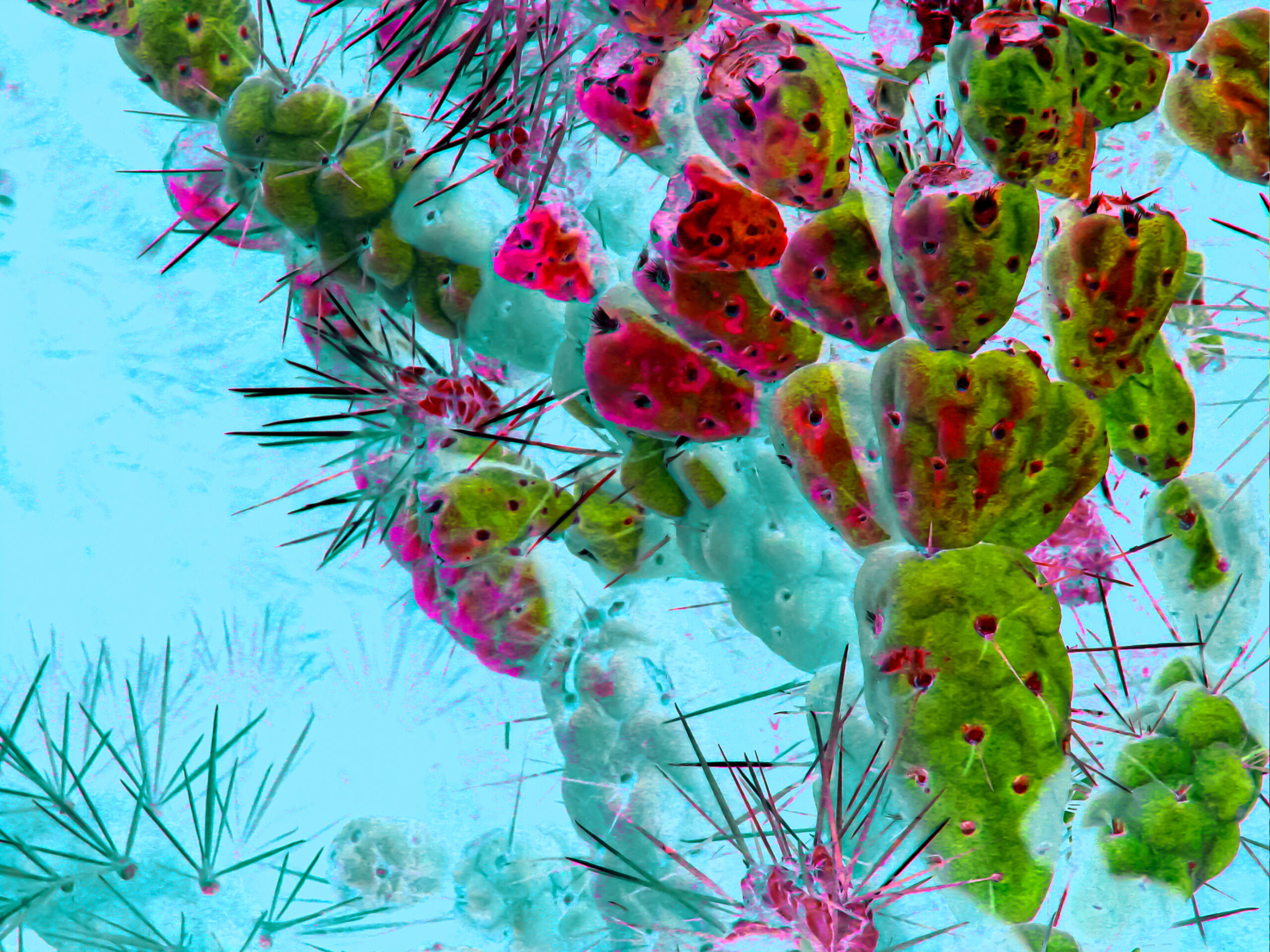 Painted-Cactus-Art-6