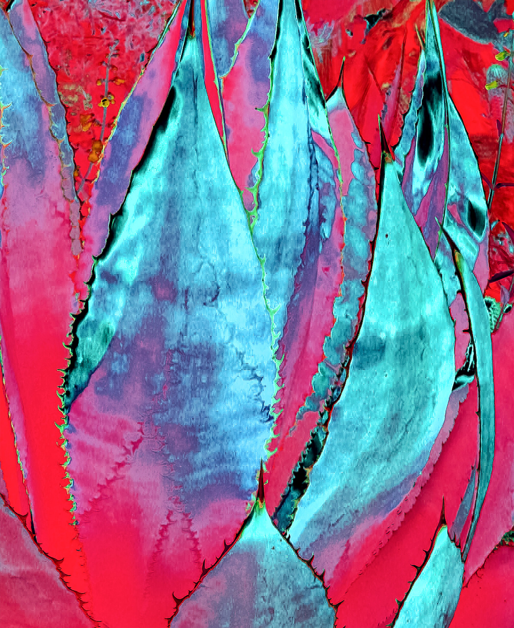 Painted-Cactus-Art-6