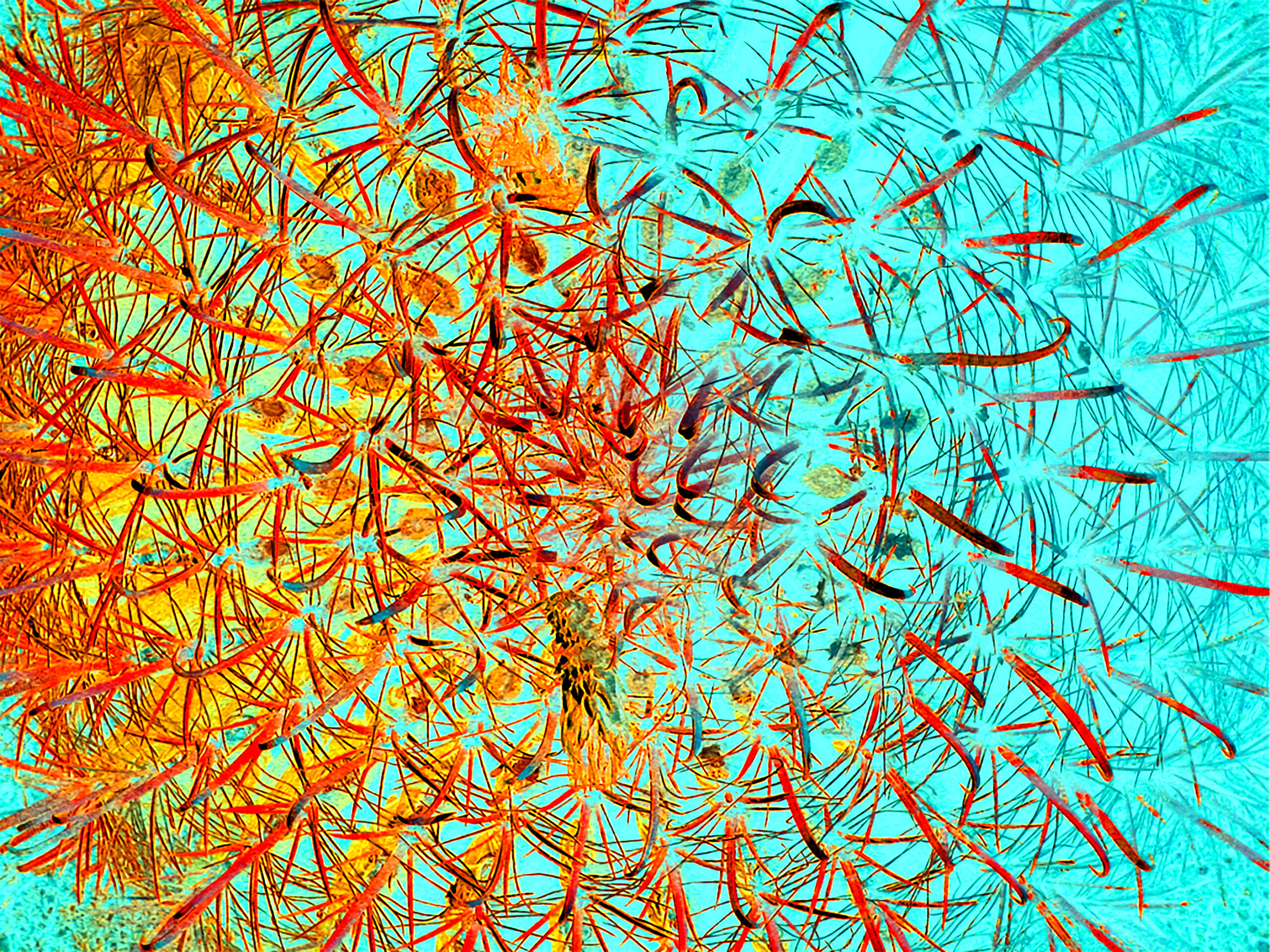 Painted-Cactus-Art-Barrel-2