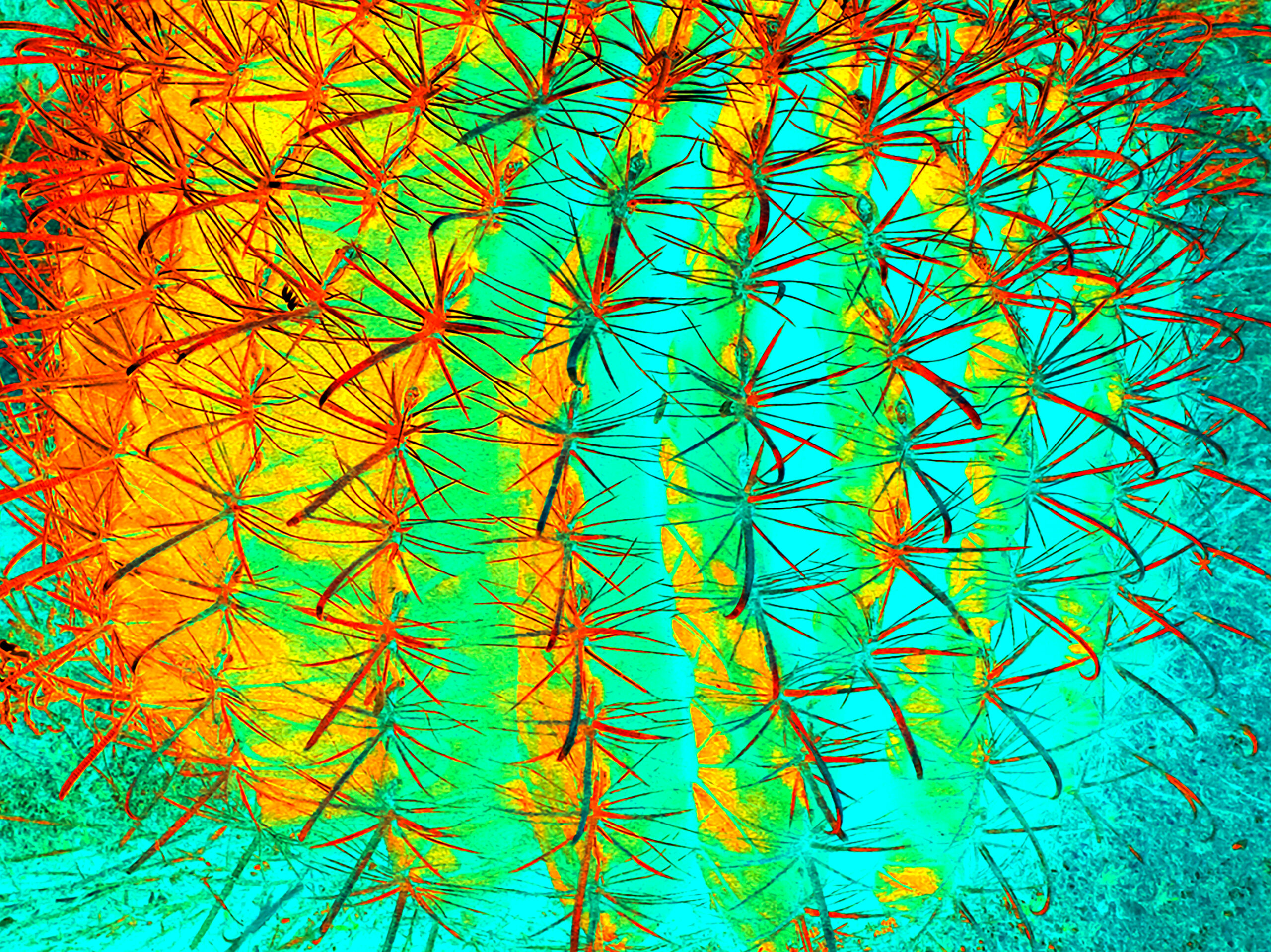 Painted-Cactus-Art---Barrel