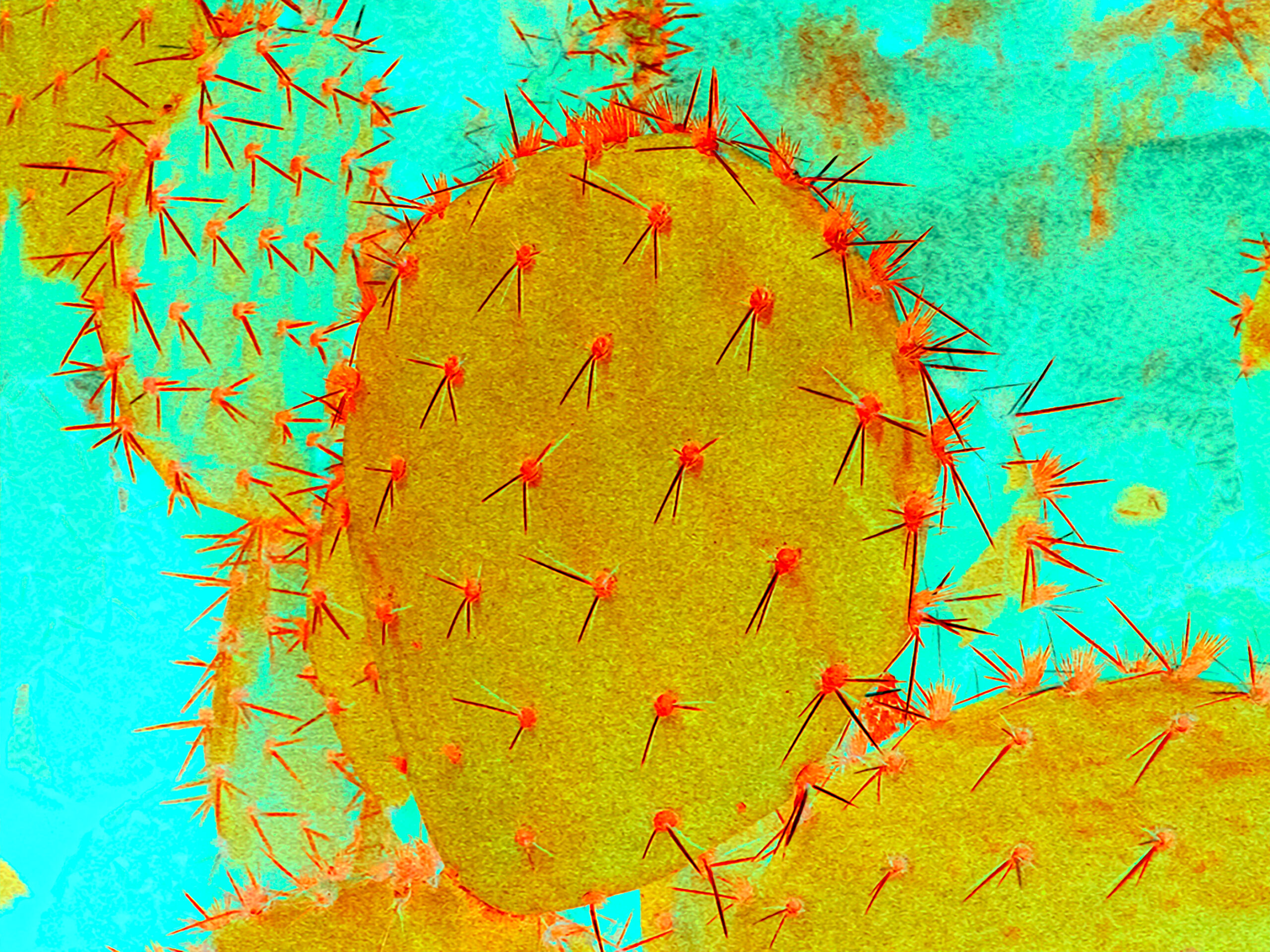 Painted-Cactus-Art--Pear-1d