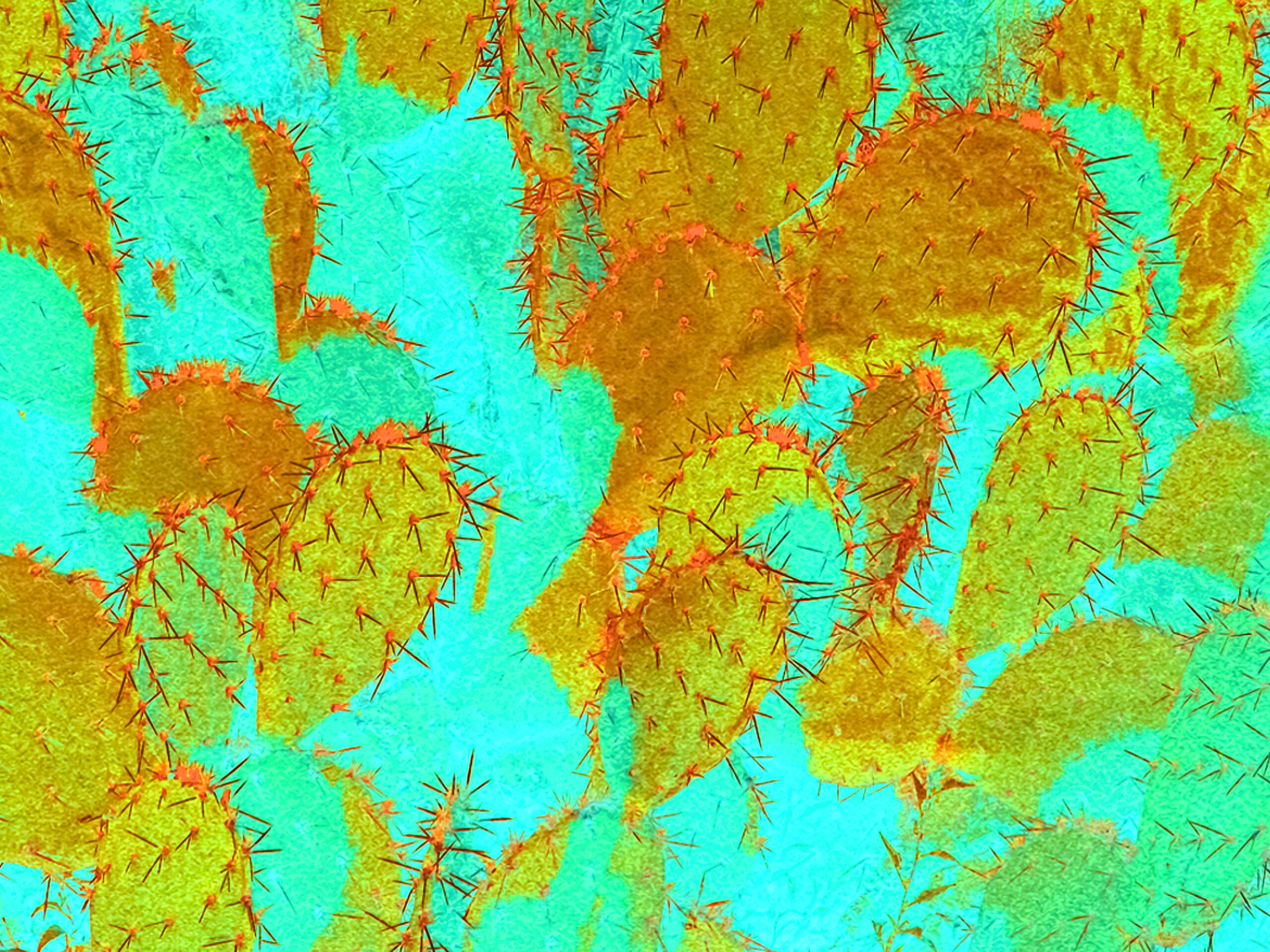 Painted-Cactus-Art--Pear-Wallpaper