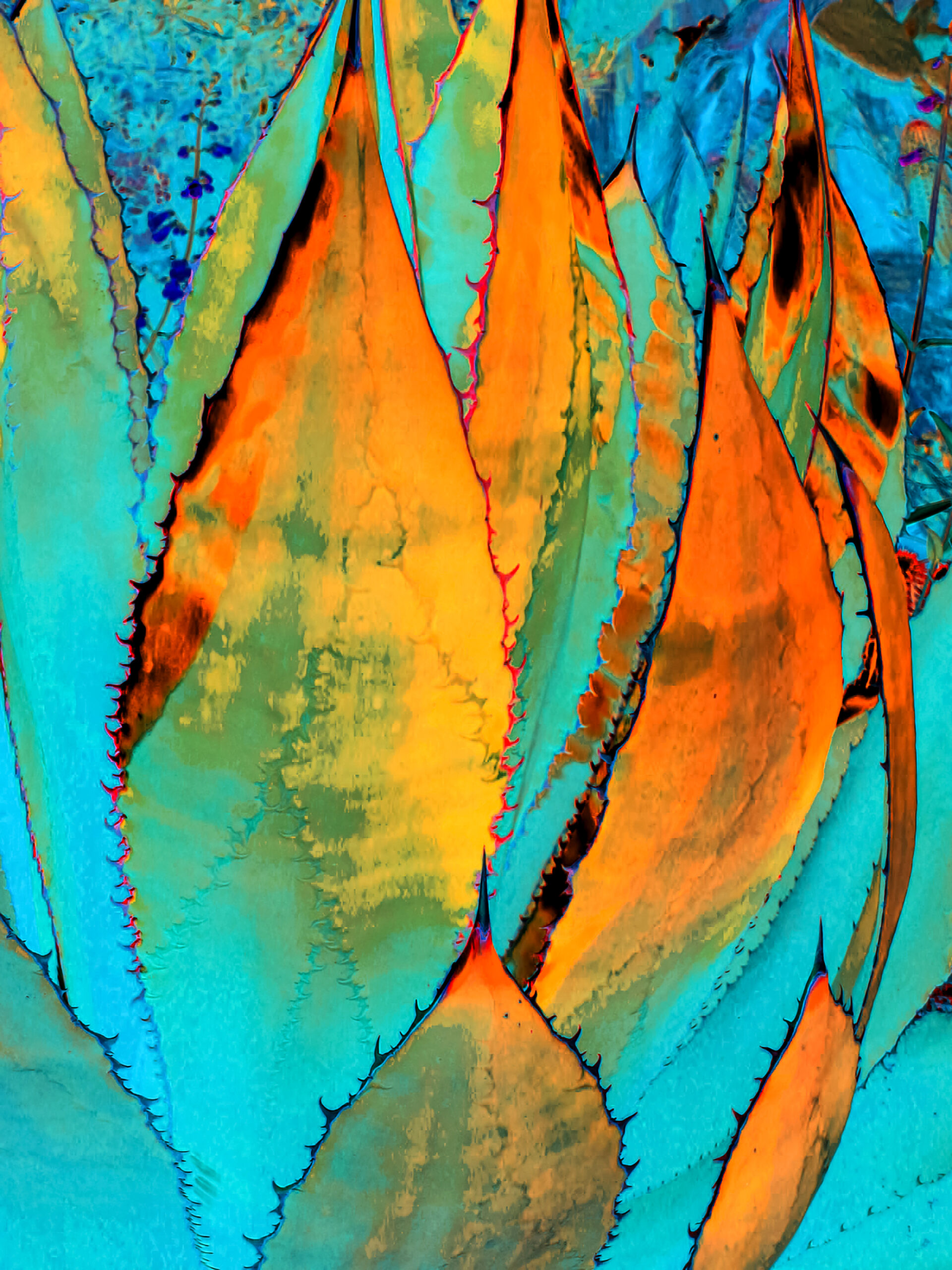 agave-leaves-1