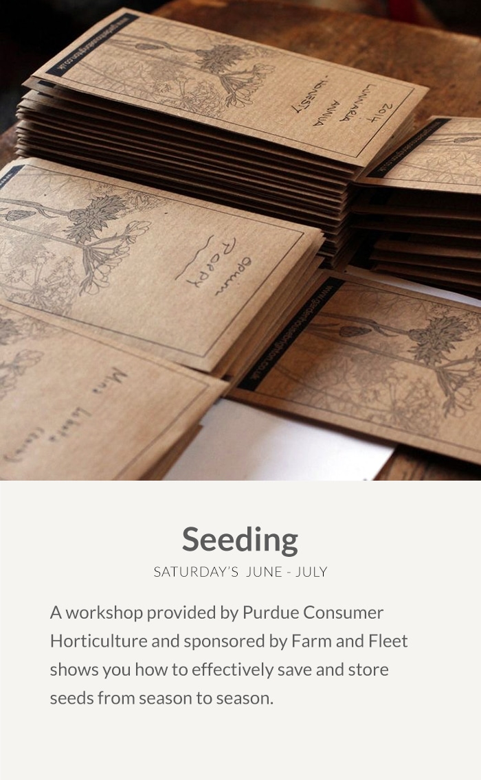 Seeding-2