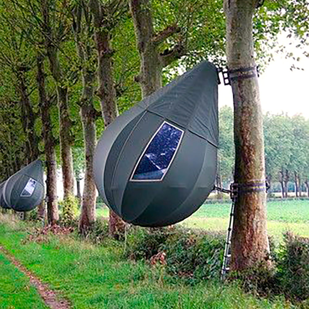 Pod