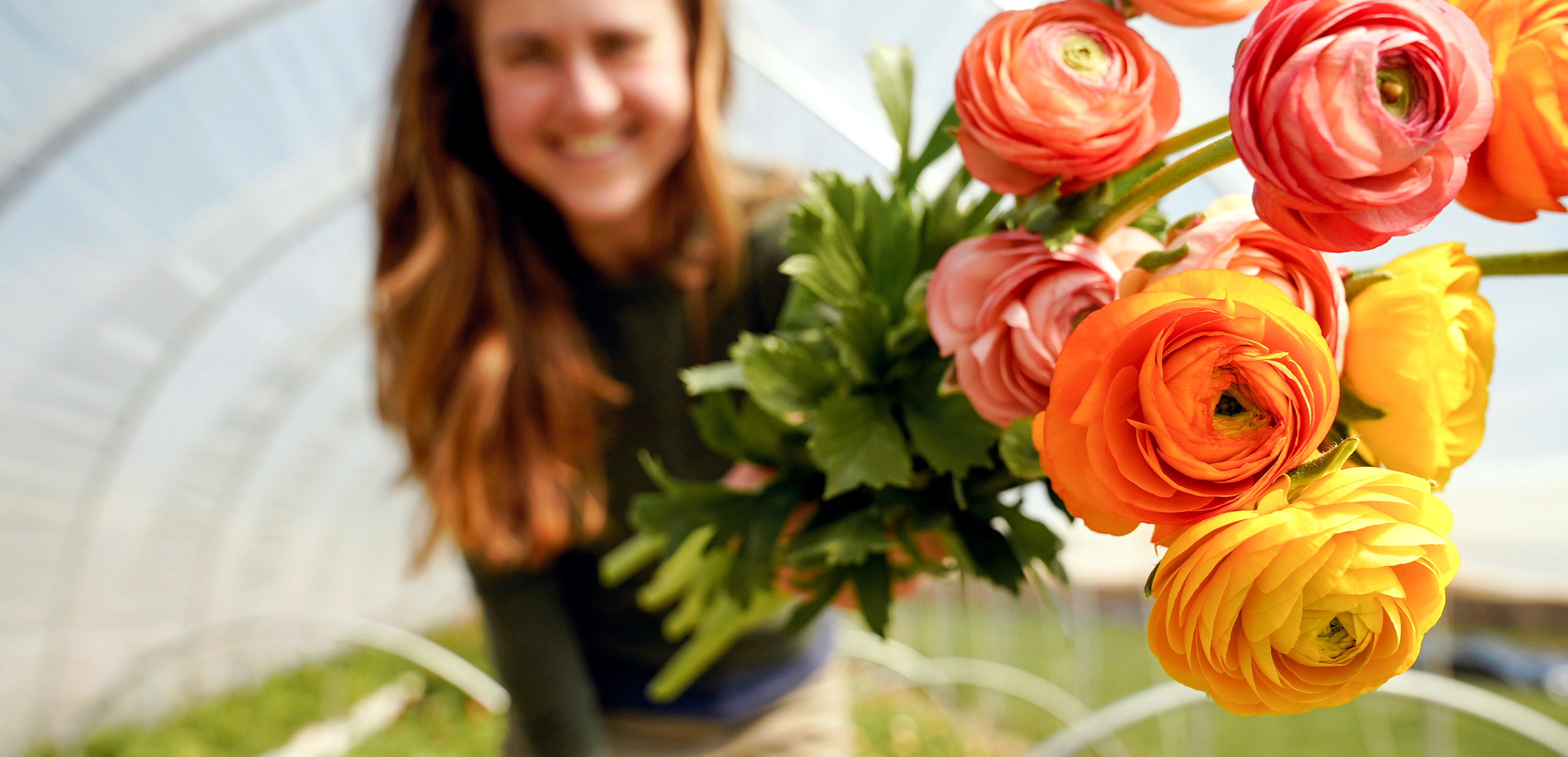 Bouquet.jpg