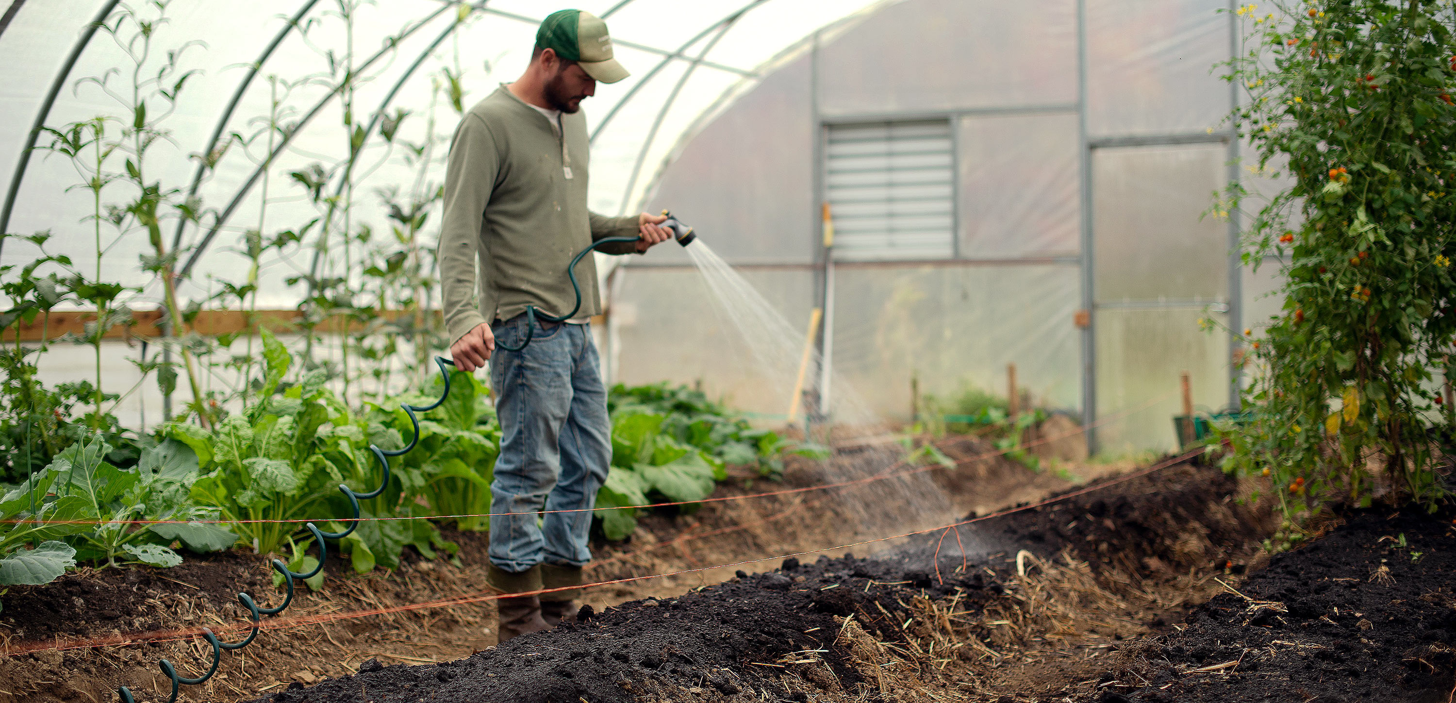 Watering.jpg